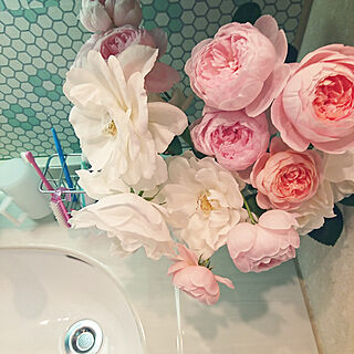 洗面所/薔薇/歯ブラシ立て/タイル調の壁紙シールはマスキングテープ/バス/トイレのインテリア実例 - 2018-05-11 12:27:22
