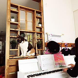 ベッド周り/ピアノ/ねこと暮らす。/猫のいる日常/こどもとネコのいる暮らし...などのインテリア実例 - 2017-06-13 00:12:34