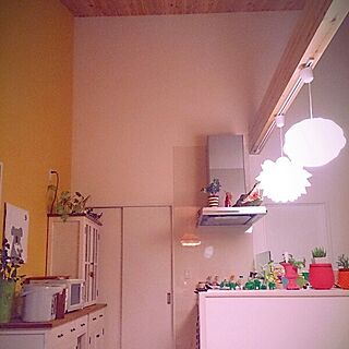 キッチン/IKEA/照明/多肉植物/観葉植物...などのインテリア実例 - 2014-09-04 05:11:57