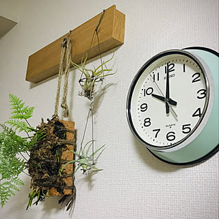 壁掛け時計/DIY/観葉植物/北欧/無印良品のインテリア実例 - 2020-07-12 22:39:42