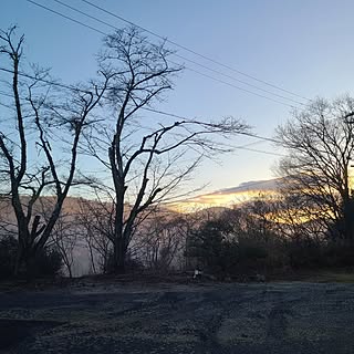 朝陽を浴びて/出勤前のひと時/出勤前の1枚*/沈丁花/雨上がりの庭...などのインテリア実例 - 2024-02-26 06:56:27