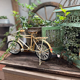 自転車オブジェ/車輪オブジェ/福岡県/植物のある暮らし/グリーンが好き...などのインテリア実例 - 2021-08-13 13:25:20