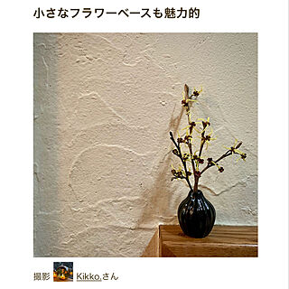 Room Clip mag掲載/部屋全体/ミニミニ花瓶のインテリア実例 - 2021-08-11 23:34:31