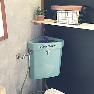 バス/トイレ/試し置き/トイレの棚作りますよ！/途中経過…/狭いトイレは写真撮るのが難しい…のインテリア実例 - 2017-06-28 16:11:29