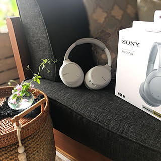 ノイズキャンセラー/SONY/リビング/Bluetoothヘッドホンのインテリア実例 - 2021-08-21 14:29:36