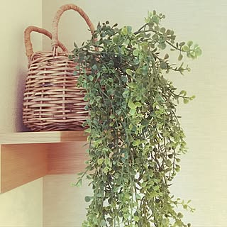 フェイクグリーン/いなざうるす屋さん/壁にかけられる観葉植物/無印良品/壁につけられる棚...などのインテリア実例 - 2016-11-19 15:57:32