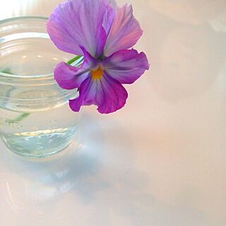 机/フラワー/植物/お花/空き瓶...などのインテリア実例 - 2014-04-29 11:28:41