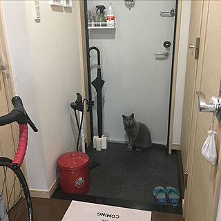 kittyさんの実例写真