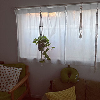 窓辺のインテリア/1LDK/無印カーテン/中古マンションリノベーション/植物飾りたい...などのインテリア実例 - 2023-02-05 16:44:09