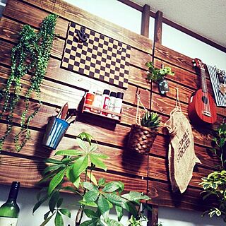 観葉植物/ディスプレイ/DIY/板壁/杉野地板...などのインテリア実例 - 2016-06-05 02:16:42