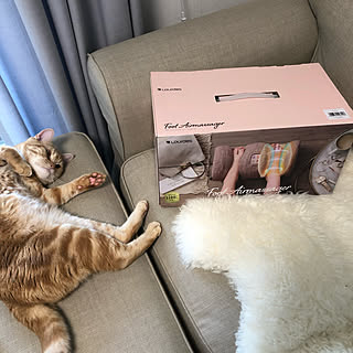 猫息子/IKEAソファ/自分ケア/IKEA/リリカラ...などのインテリア実例 - 2021-05-25 10:20:24