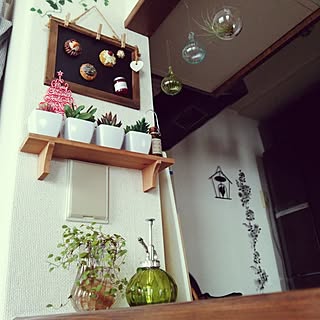 キッチン/観葉植物/ワイヤープランツ/100均/ゆらゆら...などのインテリア実例 - 2015-12-01 12:33:57