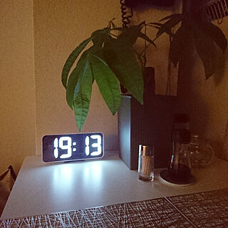 キッチン/IKEAの時計☆/観葉植物/つまようじ入れ♡のインテリア実例 - 2021-06-11 19:13:47