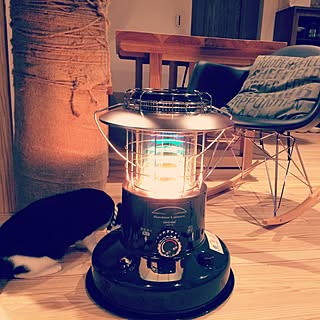 トヨトミ レインボーランタン RL-25C