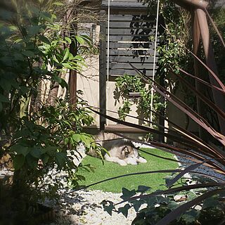 玄関/入り口/ウッドフェンス/庭DIY/ブランコ/陽の当たるスポット...などのインテリア実例 - 2017-03-04 12:14:06