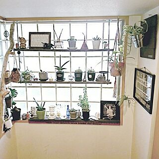 バス/トイレ/interior green/植物/DIY/植物のある暮らし...などのインテリア実例 - 2017-02-16 17:41:50