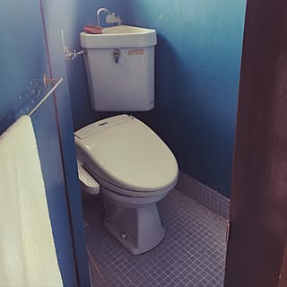 バス/トイレ/和式トイレを洋式へ/再利用？/青い壁/リノベーション予定...などのインテリア実例 - 2016-07-14 21:46:21