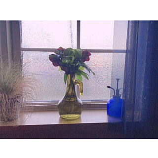 庭の花を飾る/花のある暮らしに憧れる/ガラス瓶好き/2021.4.24/おうち花見...などのインテリア実例 - 2021-04-24 19:49:48