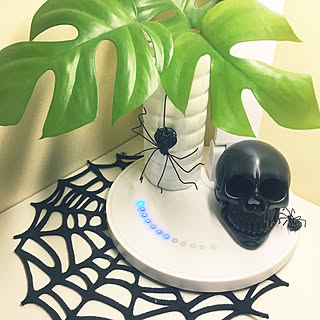 机/100均/HALLOWEEN/ワイヤークラフト/観葉植物のインテリア実例 - 2017-09-02 23:26:40