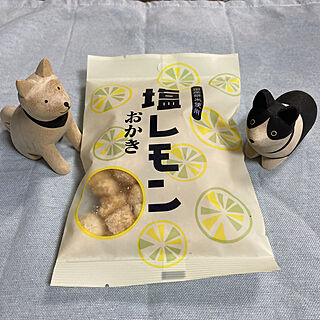 塩レモンおかき/木製わんこ/キッチンのインテリア実例 - 2022-05-20 23:44:45