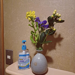バス/トイレ/消毒液/陶器の花瓶/癒し/お花は癒し...などのインテリア実例 - 2022-03-09 19:00:54