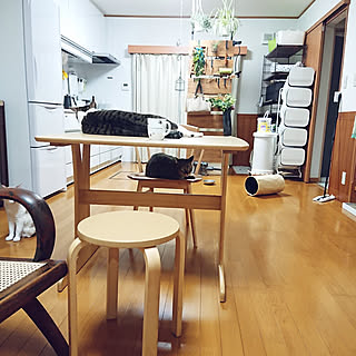 部屋全体/暮らしの味方/猫との暮らし/多頭飼いの家/6ニャン...などのインテリア実例 - 2021-08-25 20:08:23