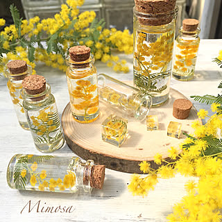 ジン タンカレー ジントニック 壁掛け アート