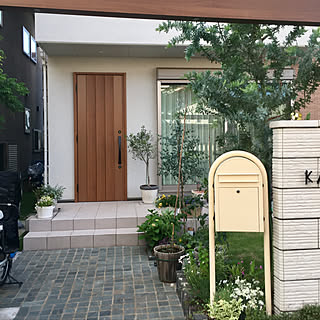 玄関周りのインテリア実例 Roomclip ルームクリップ