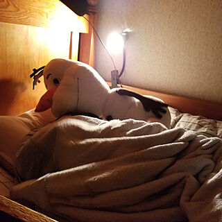 ベッド周り/二段ベッド/ランプのインテリア実例 - 2022-02-03 00:08:10