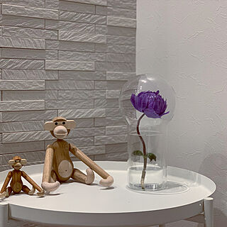 IKEA/シンプルモダンに憧れる/すきなものに囲まれた暮らし/しあわせな時間/アネモネ...などのインテリア実例 - 2020-02-29 14:55:05