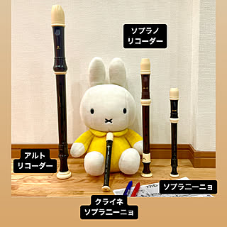 ミッフィー/miffy/アルトリコーダー/ソプラノリコーダー/リコーダー...などのインテリア実例 - 2022-11-03 19:45:34