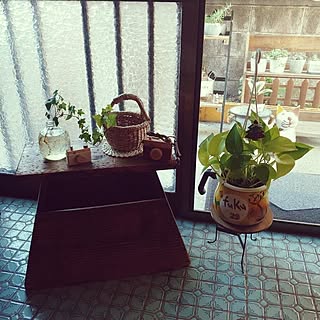 玄関/入り口/観葉植物/癒し/日曜日の午後/見て頂きありがとうございます...などのインテリア実例 - 2023-10-29 15:08:09