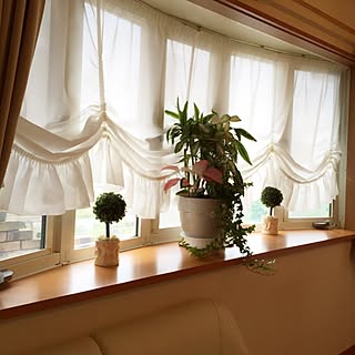 出窓 バルーンカーテンのおしゃれなインテリアコーディネート レイアウトの実例 Roomclip ルームクリップ