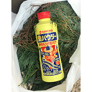 ゴールドクレスト 害虫対策のインテリア実例 Roomclip ルームクリップ