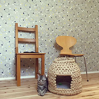 カインズのひんやり枕カバーで座布団製作/猫との暮らし/IKEAの椅子/アントチェア/猫ちぐら 手作り...などのインテリア実例 - 2019-08-12 20:25:14