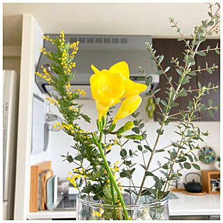 黄色の花/ミモザ/フリージア/キッチンのインテリア実例 - 2023-03-04 08:30:20
