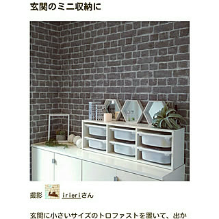 玄関/入り口/IKEAのトロファスト/玄関収納/靴箱の上/RoomClip mag...などのインテリア実例 - 2019-02-02 22:16:06