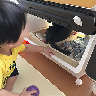 yuki0511さんの実例写真