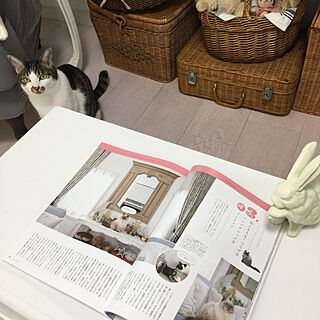 机/雑誌掲載ありがとうございました/雑誌掲載/NO CAT,NO LIFE❤️/ニャビーシック...などのインテリア実例 - 2017-01-12 11:30:00