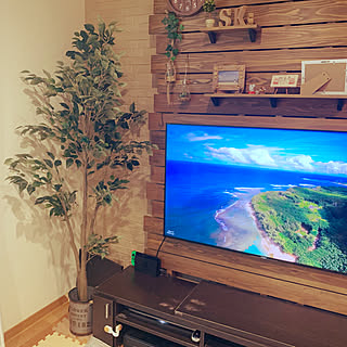 壁掛けTVの方法はブログに載せてます。/テレビ壁掛けDIY/テレビボードDIY/ベンジャミン/フェイクグリーン...などのインテリア実例 - 2021-09-24 18:10:05