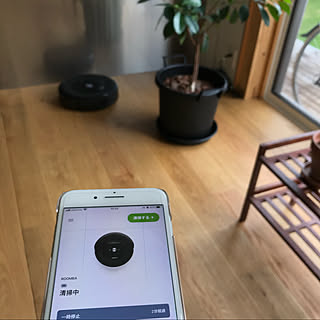 roomba e5/roomba/iRobot HOME アプリ/アイロボット/ルンバ...などのインテリア実例 - 2020-09-07 10:20:13