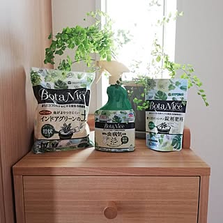 玄関/入り口/観葉植物/多肉植物/植物のある暮らし/虫対策...などのインテリア実例 - 2023-07-29 11:27:21