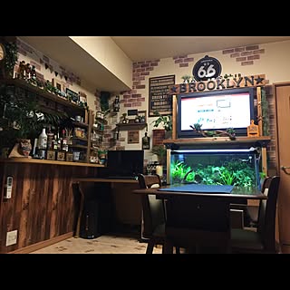 棚/観葉植物/時計/ダイソー/100均...などのインテリア実例 - 2017-05-23 23:38:01