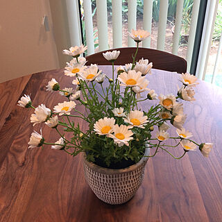 ダイニングテーブル＆チェア/癒し/花のある暮らし/庭の花を飾る/庭の花...などのインテリア実例 - 2020-05-21 14:11:43