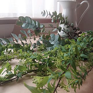 シンプルな暮らし/植物/観葉植物のある暮らし/枝もの/コデマリ...などのインテリア実例 - 2024-03-23 19:03:03