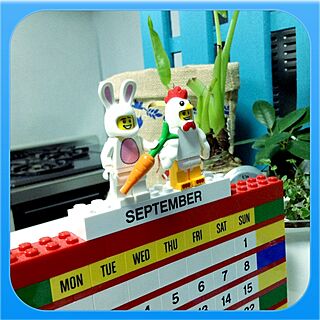 キッチン/動物/カレンダー/フィギュア/LEGO...などのインテリア実例 - 2013-09-20 20:25:53