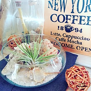 リビング/夏/セリア/西海岸風にしたい/西海岸風にも憧れる...などのインテリア実例 - 2016-08-12 17:54:54