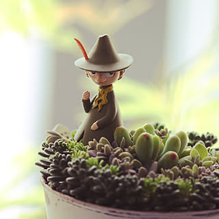 100均 スナフキンの商品を使ったおしゃれなインテリア実例 Roomclip ルームクリップ