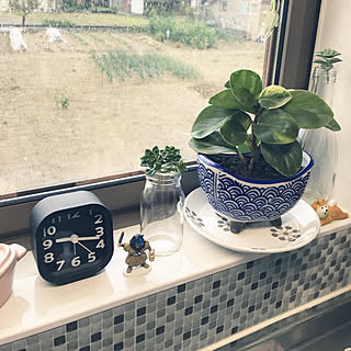 多肉ちゃん♡/ワンコと暮らす家/暖炉がある家/木がすき♡/真壁づくりの家...などのインテリア実例 - 2019-04-26 09:25:05