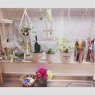 Ikea 吊るす植物のインテリア実例 Roomclip ルームクリップ